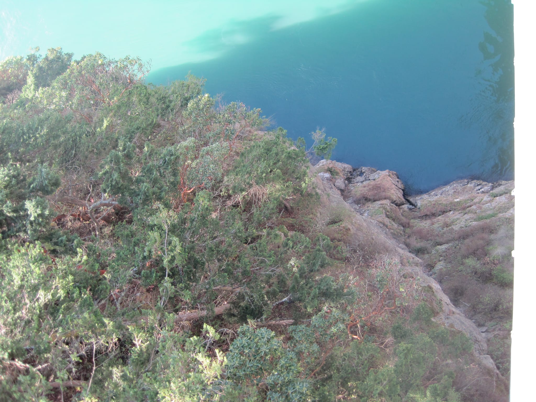Exploring Puget sound 076