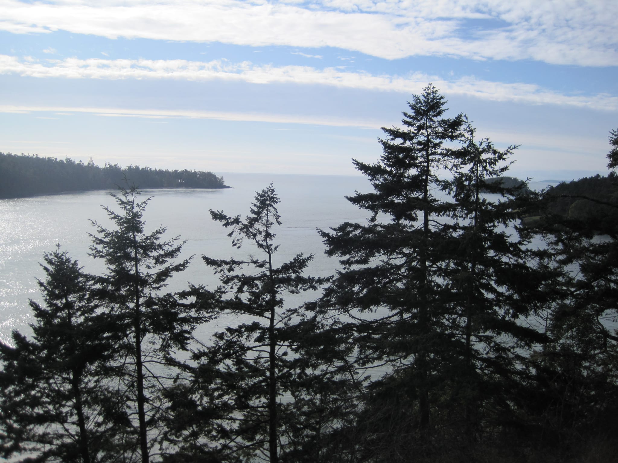 Exploring Puget sound 081