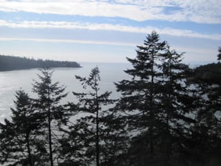 Exploring Puget sound 081
