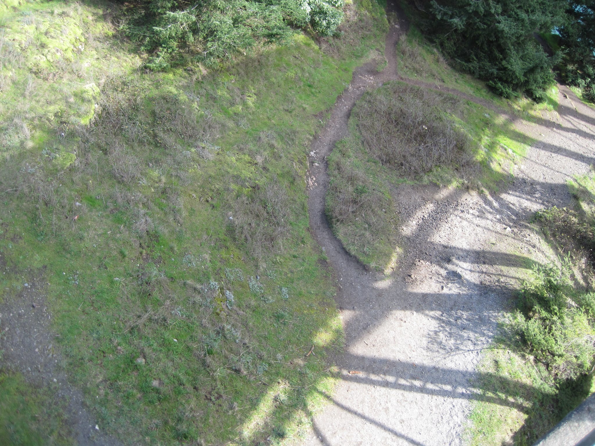 Exploring Puget sound 092