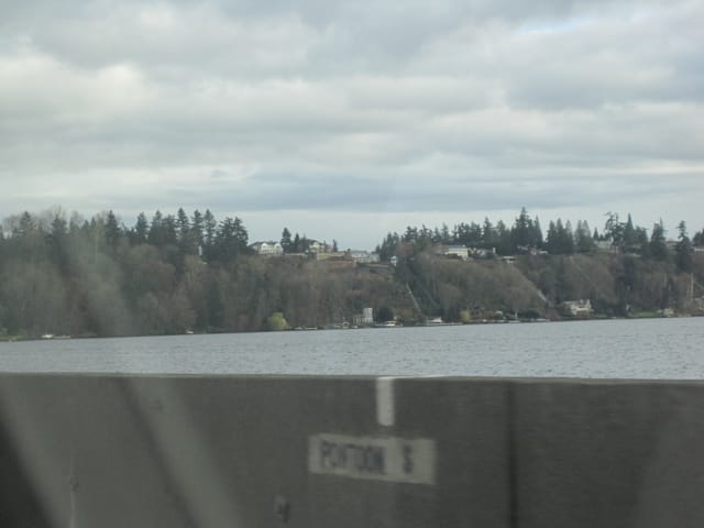 Seattle - Duck-style