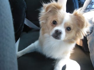 To the park we go