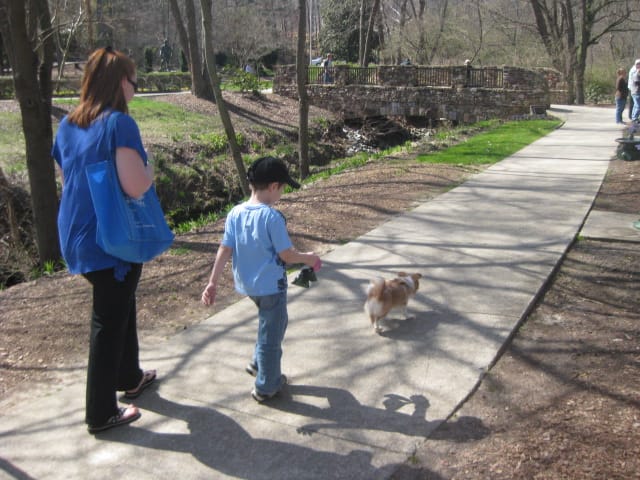 Walking Chloe in the park