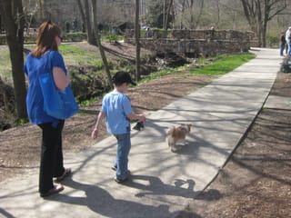 Walking Chloe in the park