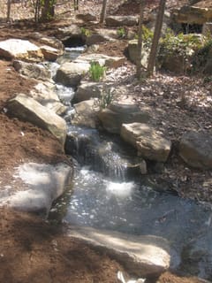 Bog Garden Waterfall