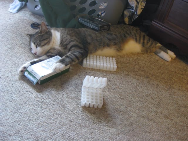 Ammo packin' Brasky
