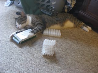 Ammo packin' Brasky