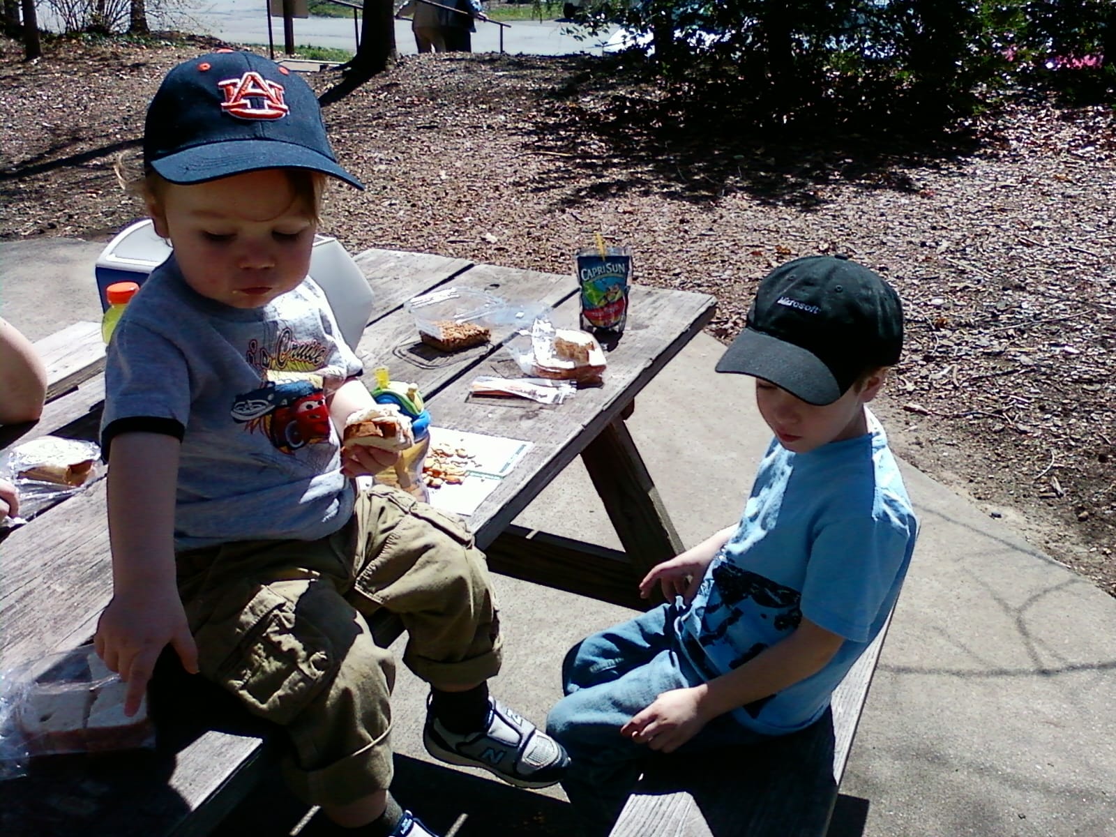 Picnic in the park.