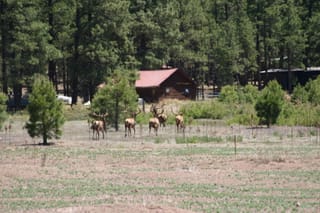 Ballance Road Trip 2010 - Yuma, Arizona to Greensboro, North Carolina 37