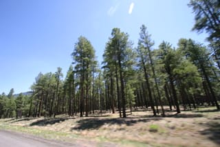Ballance Road Trip 2010 - Yuma, Arizona to Greensboro, North Carolina 42