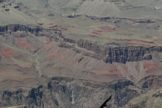 Ballance Road Trip 2010 - Yuma, Arizona to Greensboro, North Carolina 76