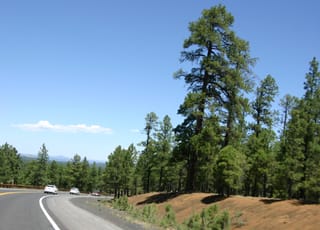 Ballance Road Trip 2010 - Yuma, Arizona to Greensboro, North Carolina 48