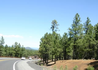 Ballance Road Trip 2010 - Yuma, Arizona to Greensboro, North Carolina 49
