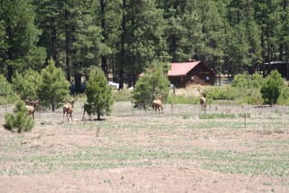 Ballance Road Trip 2010 - Yuma, Arizona to Greensboro, North Carolina 36