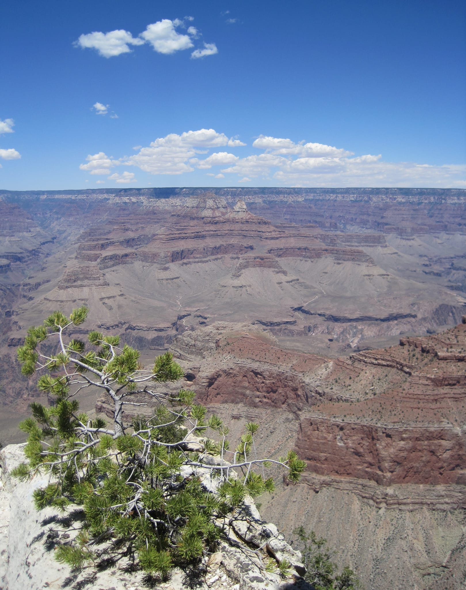 Ballance Road Trip 2010 - Yuma, Arizona to Greensboro, North Carolina 152