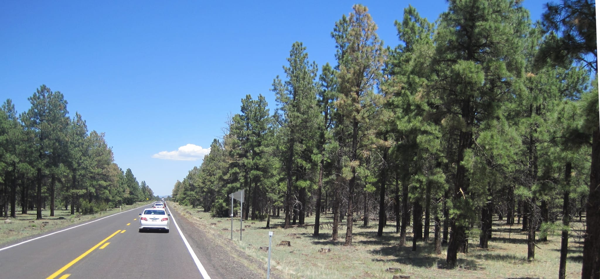 Ballance Road Trip 2010 - Yuma, Arizona to Greensboro, North Carolina 117