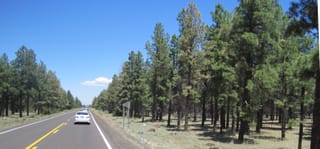Ballance Road Trip 2010 - Yuma, Arizona to Greensboro, North Carolina 117