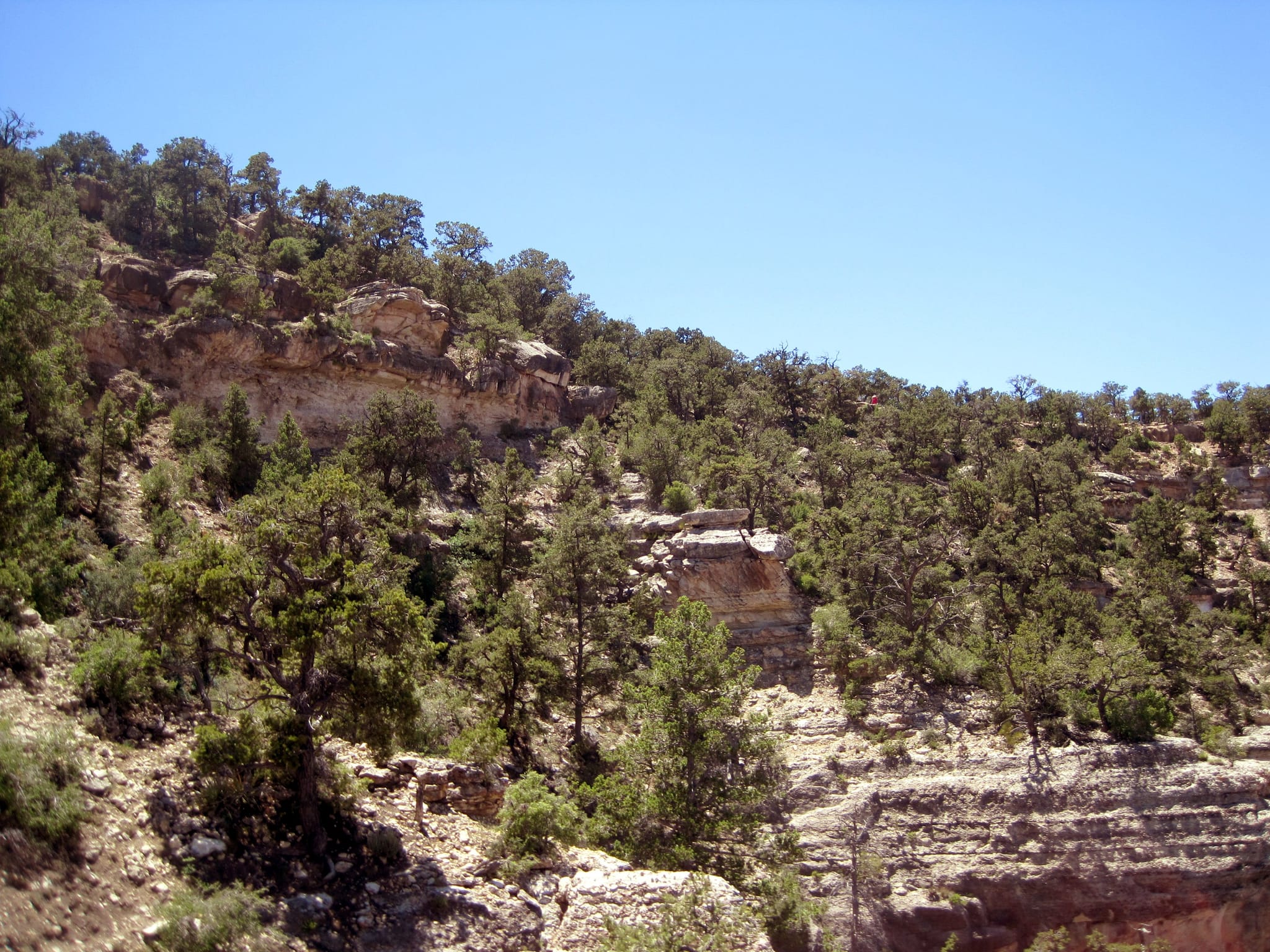 Ballance Road Trip 2010 - Yuma, Arizona to Greensboro, North Carolina 163