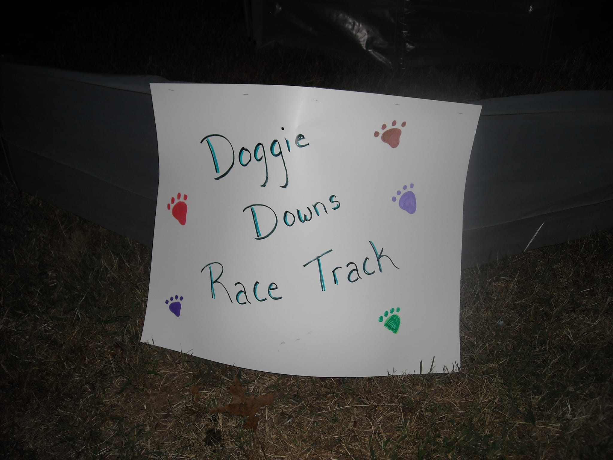 Doggie Downs Racetrack