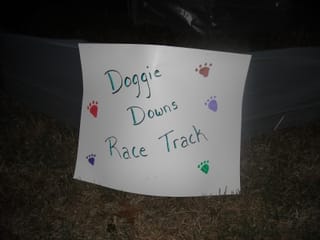Doggie Downs Racetrack