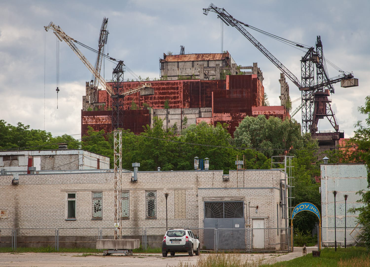 Reactor #5
