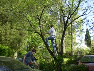 Taming of the Shrubbery