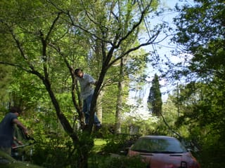 Taming of the the Shrubbery