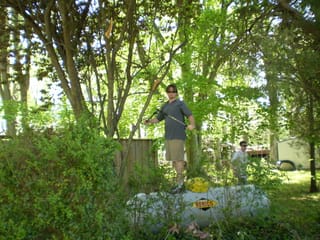 Chris trims the Plum Tree
