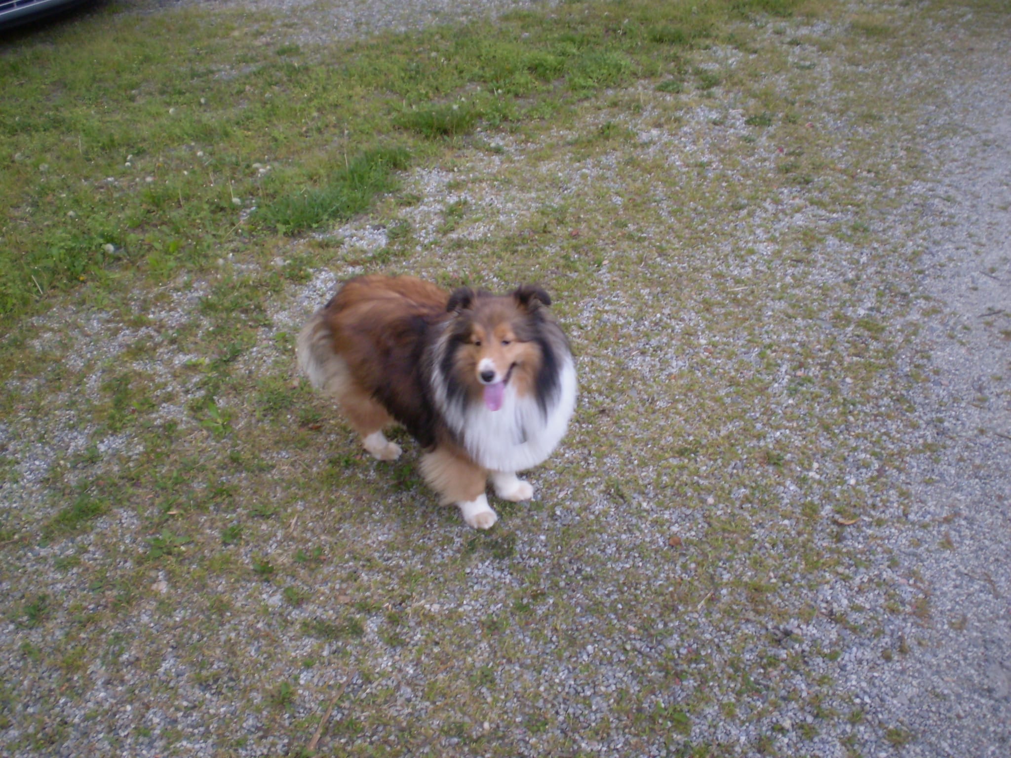 Photos from Mom's camera 047