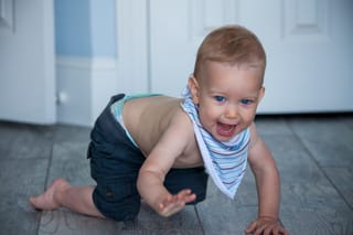 littlebear