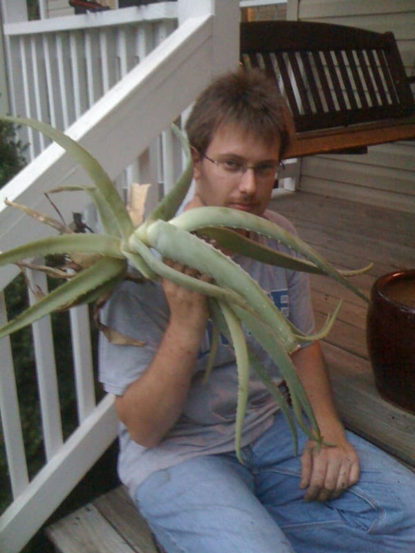 Repotting my Aloe Vera plant.  It may have become self-aware.