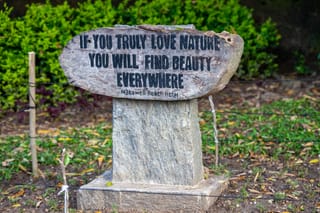 nature