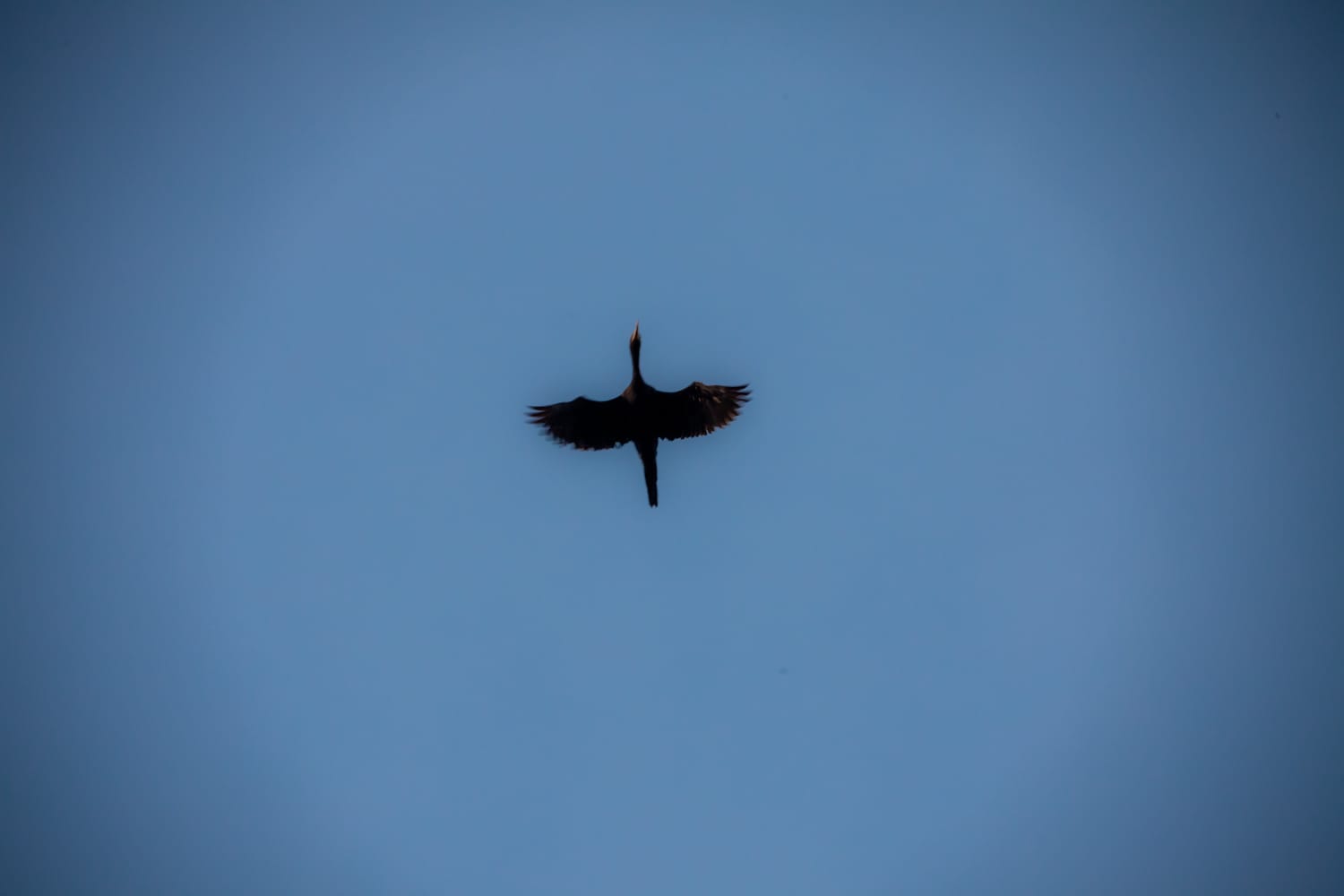 Overhead