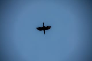 Overhead