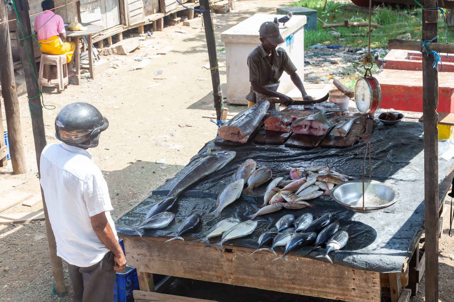 FishMarketGalle