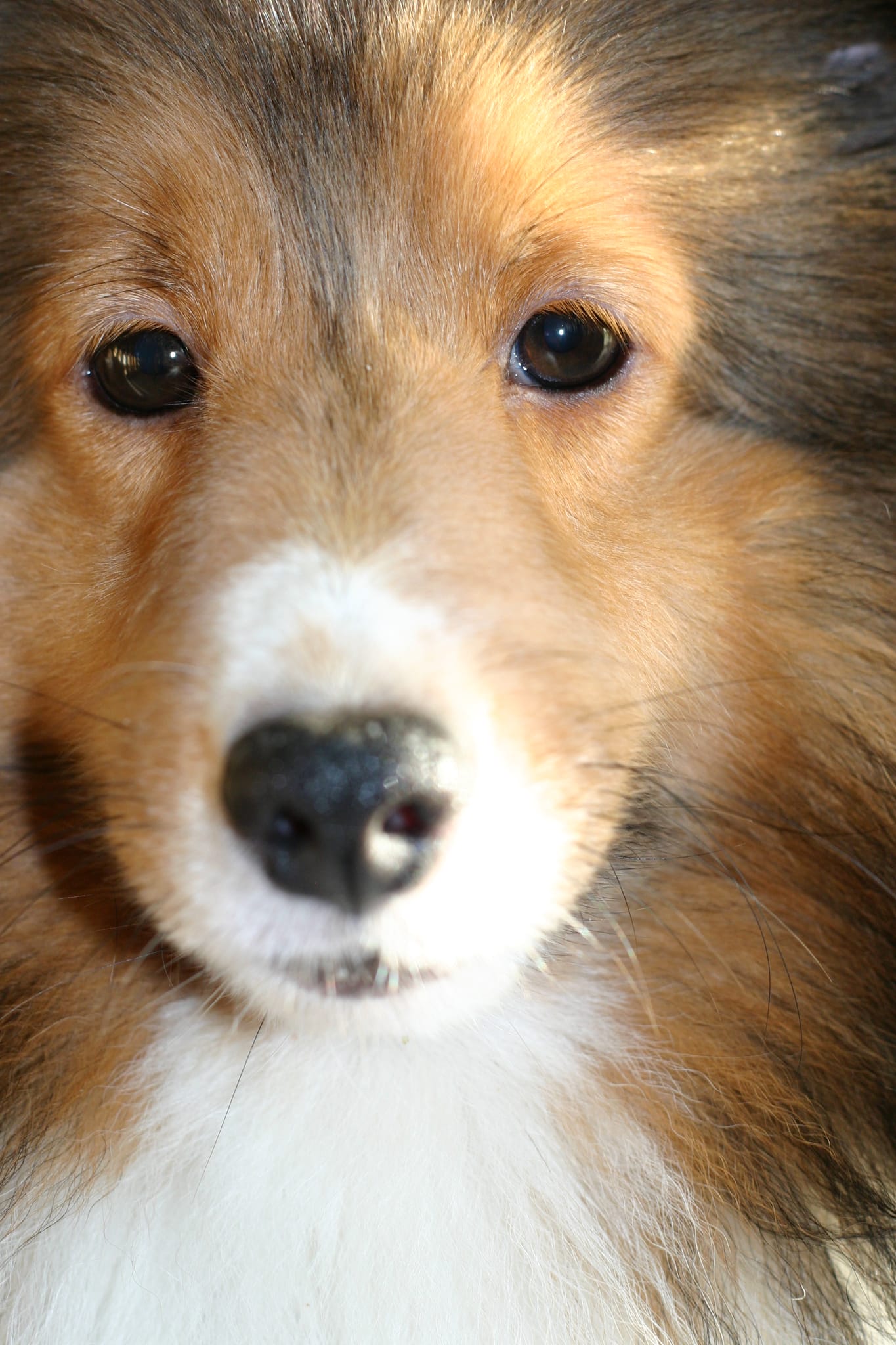 Roxy Ballance - Ready for my close-up