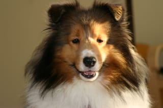 Roxy Ballance - This is all the smile you're getting without food