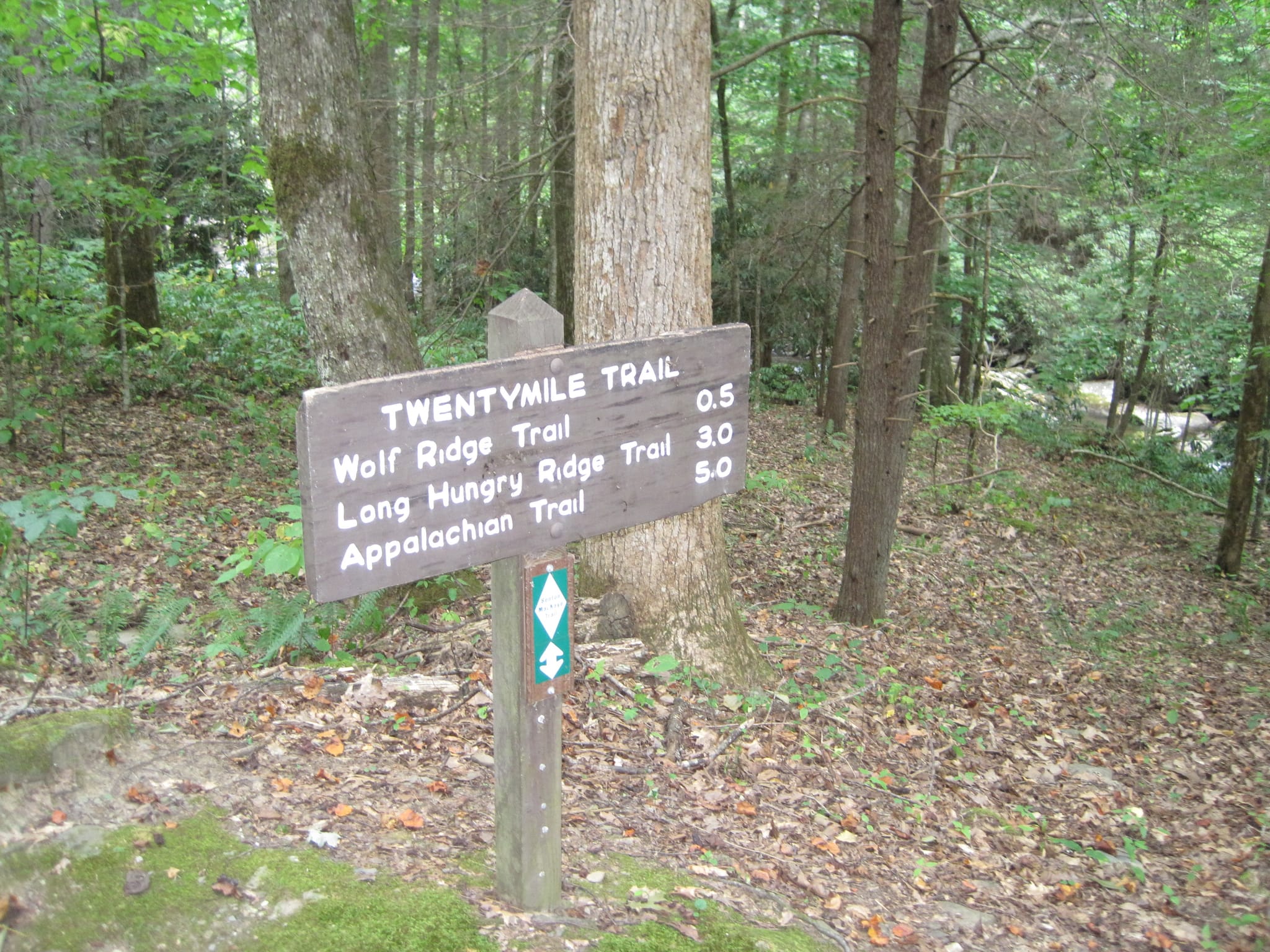 Hazel Creek Hike - Great Smoky Mountains, NC 2