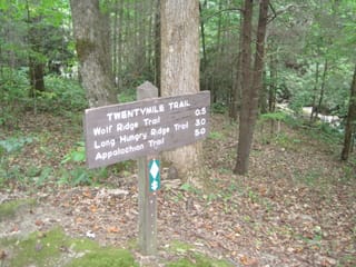 Hazel Creek Hike - Great Smoky Mountains, NC 2
