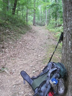 Hazel Creek Hike - Great Smoky Mountains, NC 182