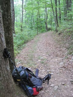 Hazel Creek Hike - Great Smoky Mountains, NC 183