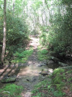 Hazel Creek Hike - Great Smoky Mountains, NC 187