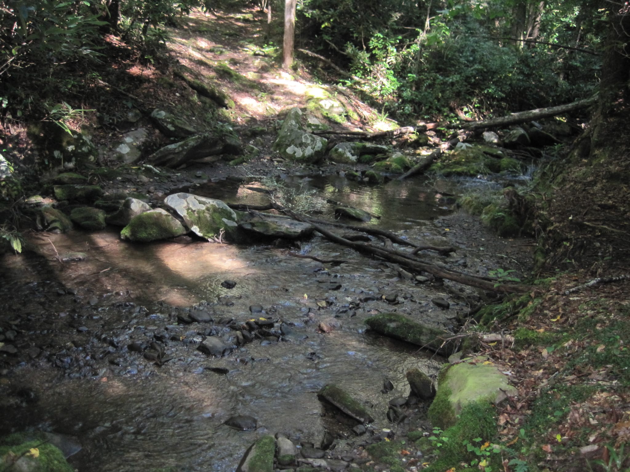 Hazel Creek Hike - Great Smoky Mountains, NC 9