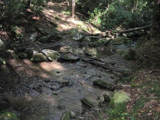Hazel Creek Hike - Great Smoky Mountains, NC 9