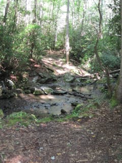 Hazel Creek Hike - Great Smoky Mountains, NC 189
