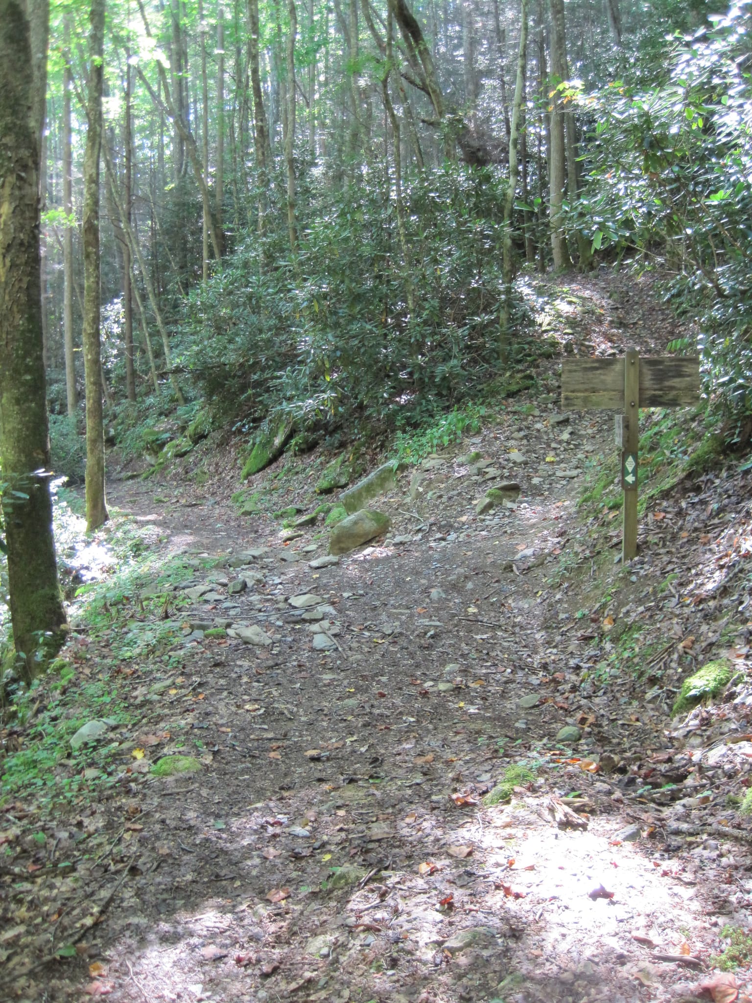 Hazel Creek Hike - Great Smoky Mountains, NC 195