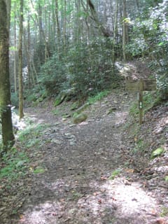 Hazel Creek Hike - Great Smoky Mountains, NC 195