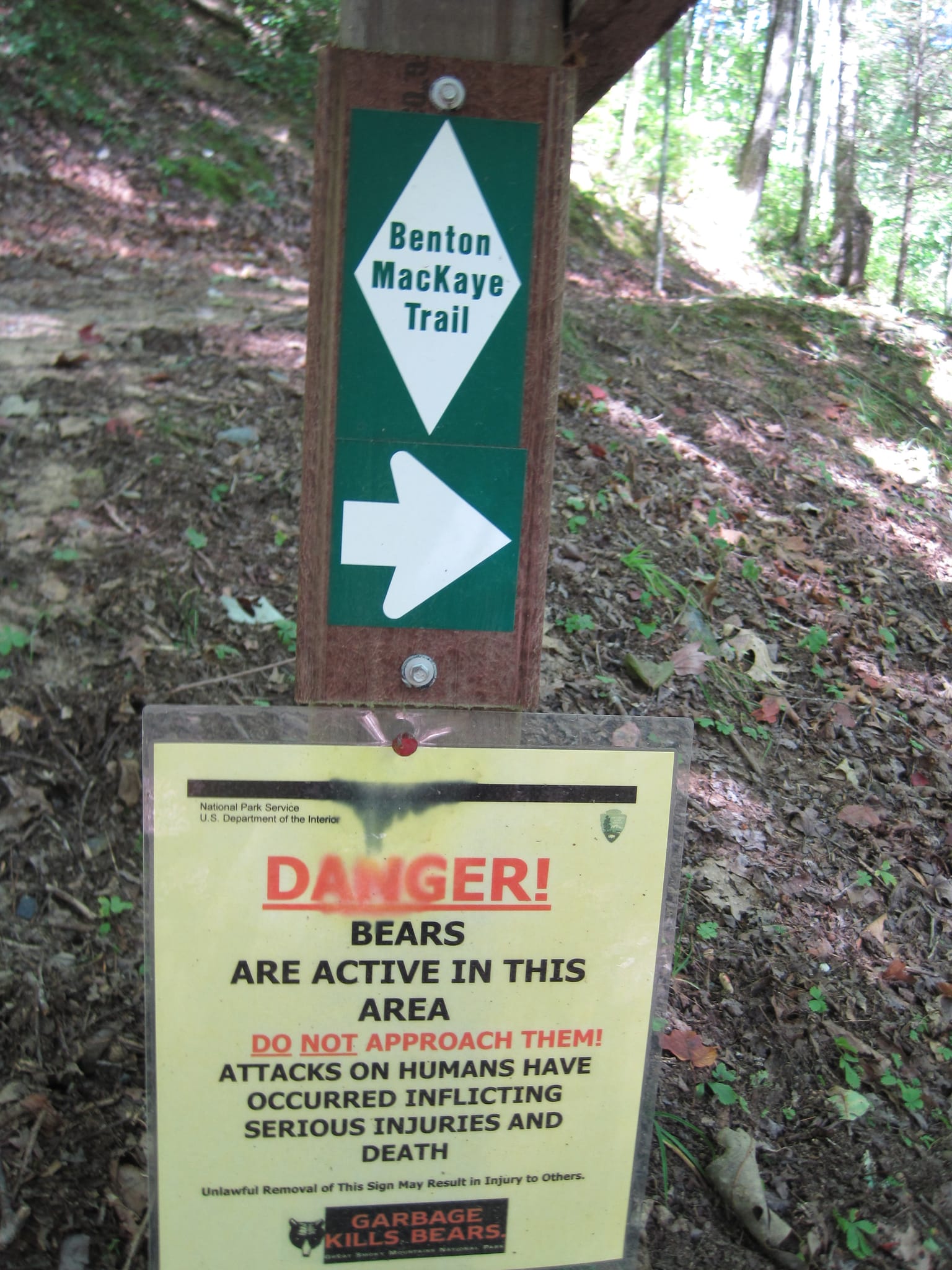 Hazel Creek Hike - Great Smoky Mountains, NC 197