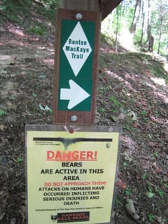 Hazel Creek Hike - Great Smoky Mountains, NC 197