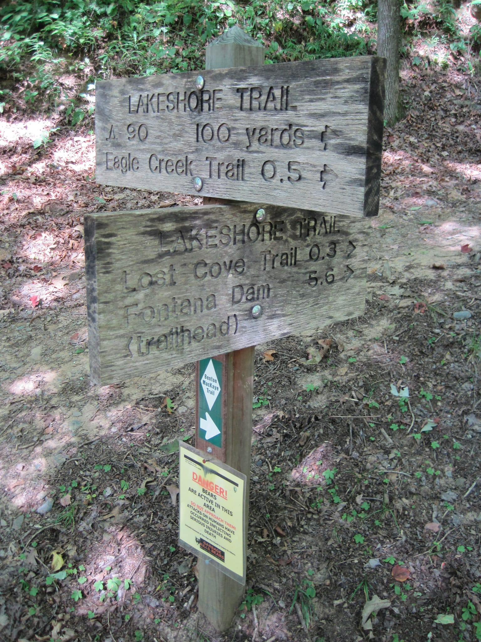 Hazel Creek Hike - Great Smoky Mountains, NC 198